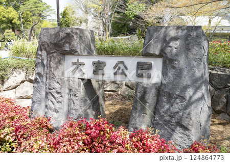 大宮公園 大宮公園 124864773