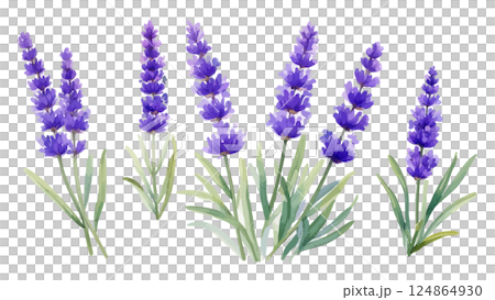 水彩薰衣草插畫AI生成 124864930