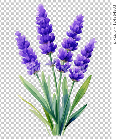 Watercolor lavender illustration AI generation 124864933