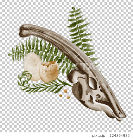 parasaurolophus skull. Dinosaur bones. Skull with plant, decorated with fern. Animal fossil. Herbivorous dinosaur. Collection illustration. Paleontology. Watercolor illustration. Hand drawing. parasaurolophus skull. Dinosaur bones. Skull with plant, decorated with fern. Animal fossil. Herbivorous dinosaur. Collection illustration. Paleontology. Watercolor illustration. Hand drawing. 124864986