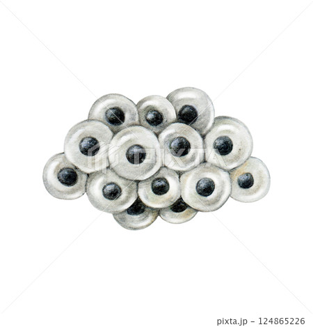 Amphibian spawn on white background realistic painted illustration. Frog spawn in jelly spheres with small eggs inside close-up illustration Amphibian spawn on white background realistic painted illustration. Frog spawn in jelly spheres with small eggs inside close-up illustration 124865226