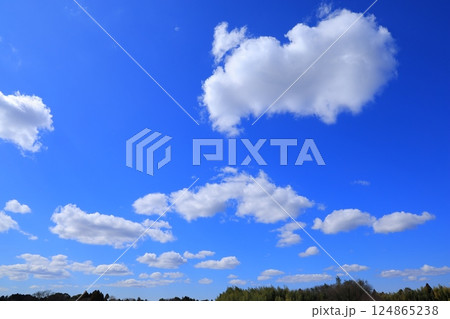 青空に浮かぶ雲 124865238