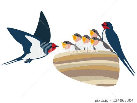 餌をねだるツバメの雛と親鳥のベクターイラストセット 餌をねだるツバメの雛と親鳥のベクターイラストセット 124865304