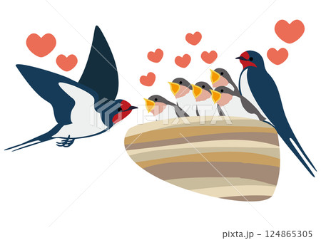 餌をねだるツバメの雛と親鳥のベクターイラストセット 餌をねだるツバメの雛と親鳥のベクターイラストセット 124865305