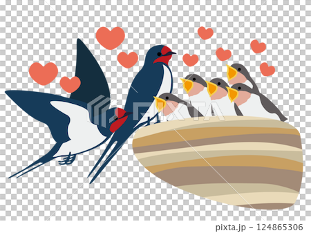 餌をねだるツバメの雛と親鳥のベクターイラストセット 124865306