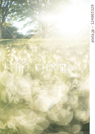 朝の公園 キラキライメージ 朝の公園 キラキライメージ 124865329