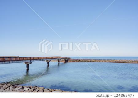 新潟　出雲崎町の透明な海（いずもざき海遊広場） 124865477