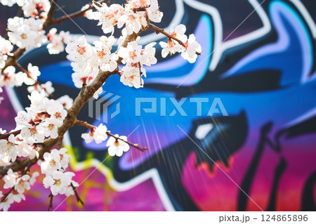 Cherry Blossom Branch with Vibrant Graffiti Background in Urban 2000s Style Cherry Blossom Branch with Vibrant Graffiti Background in Urban 2000s Style 124865896