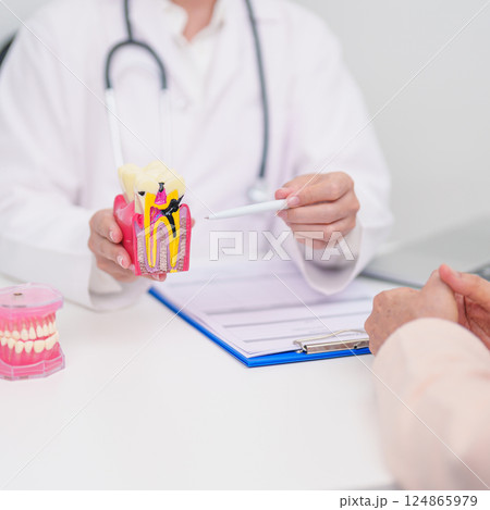 Elderly Patient consulting Dentist to Tooth disease, Senior Health Medical Diagnosis. Anatomy teeth model for Oral Teeth decay, Scrape off tartar. March Oral health, Dentist Day, False Teeth concept Elderly Patient consulting Dentist to Tooth disease, Senior Health Medical Diagnosis. Anatomy teeth model for Oral Teeth decay, Scrape off tartar. March Oral health, Dentist Day, False Teeth concept 124865979