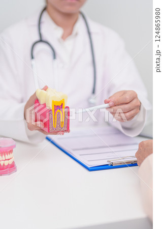 Elderly Patient consulting Dentist to Tooth disease, Senior Health Medical Diagnosis. Anatomy teeth model for Oral Teeth decay, Scrape off tartar. March Oral health, Dentist Day, False Teeth concept 124865980