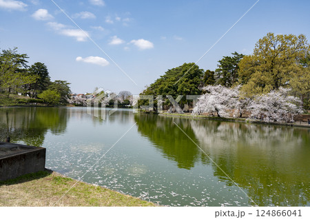 大宮公園舟遊池 大宮公園舟遊池 124866041