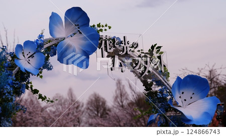 春の青空に映える舎人公園は花と光のムーブメント開始前 春の青空に映える舎人公園は花と光のムーブメント開始前 124866743