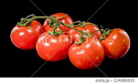 Fresh Tomatoes on the Vine with Black Background Fresh Tomatoes on the Vine with Black Background 124866833