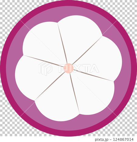 Half mangosteen, flat design. Half mangosteen, flat design. 124867014