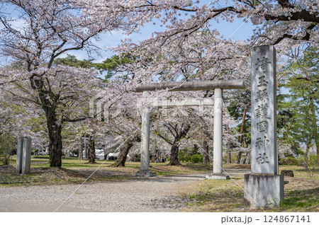 埼玉縣護國神社 一の鳥居 埼玉縣護國神社 一の鳥居 124867141