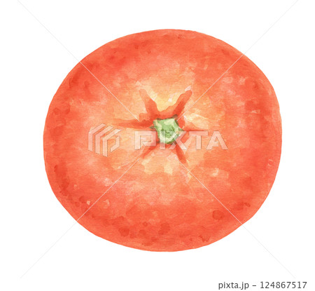 Watercolor mandarin with leaf, isolated food illustration, fruit, top view 124867517