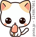 cute cat 124867861