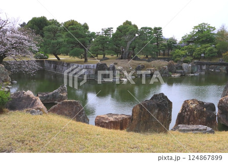 二の丸庭園(特別名勝・二条城・京都市) 二の丸庭園(特別名勝・二条城・京都市) 124867899