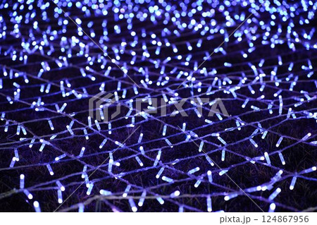 光の幻想が広がるLEDイルミネーション 光の幻想が広がるLEDイルミネーション 124867956