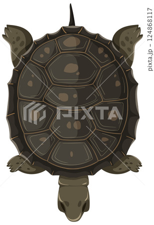 Top-Down View of a Turtle 124868117