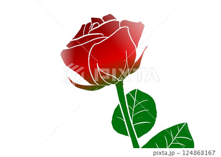 一輪の薔薇 124868167