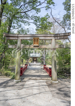 大宮氷社境内宗像神社川神 大宮氷社境内宗像神社川神 124868221