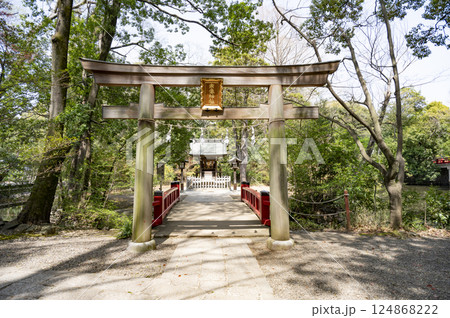 大宮氷社境内宗像神社川神 大宮氷社境内宗像神社川神 124868222