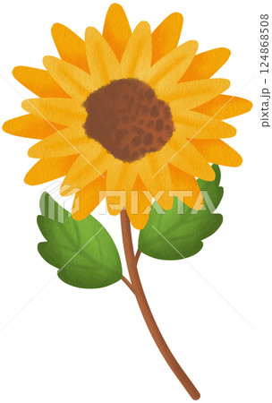 Honey and Flowers Clipart PNG Cute Honey Jar and Floral Elements for Sublimation and Crafts Hand Drawn Honey Bee Theme Clipart Set 124868508