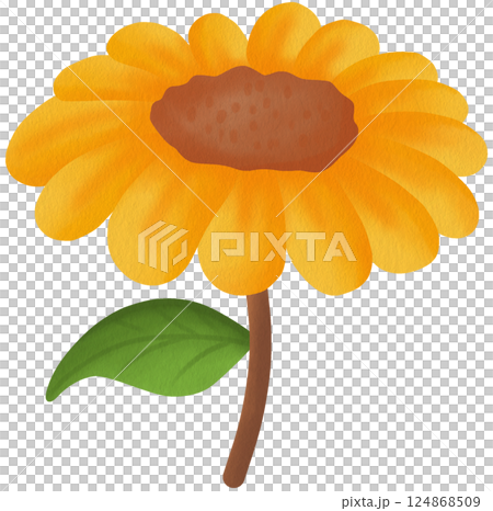 Honey and Flowers Clipart PNG Cute Honey Jar and Floral Elements for Sublimation and Crafts Hand Drawn Honey Bee Theme Clipart Set 124868509