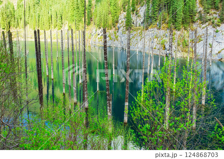Lake Kaindy in the mountains Almaty. Frozen pines in icy water Kazakhstan. Tree trunks in the lake 124868703