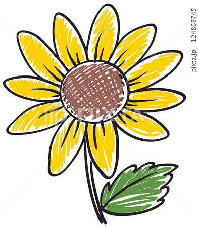 Hand-Drawn Sunflower Vector Illustration 124868745