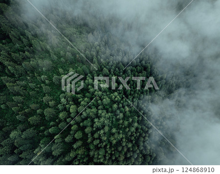 Aerial view of beautiful high altitude forest mountain landscape Aerial view of beautiful high altitude forest mountain landscape 124868910