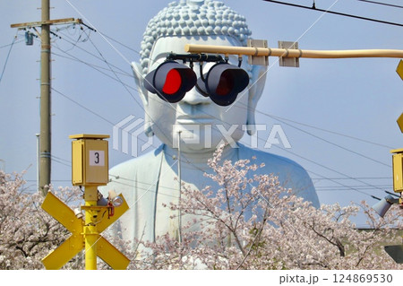 サングラスをかけた大仏 サングラスをかけた大仏 124869530