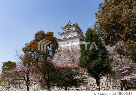 兵庫県明石市・桜が満開の明石城の櫓 124869537