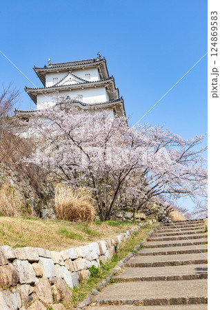 兵庫県明石市・桜が満開の明石城の櫓 124869583