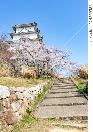兵庫県明石市・桜が満開の明石城の櫓 兵庫県明石市・桜が満開の明石城の櫓 124869584