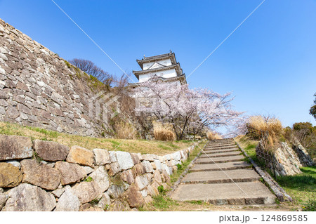 兵庫県明石市・桜が満開の明石城の櫓 124869585