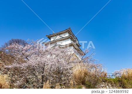 兵庫県明石市・桜が満開の明石城の櫓 124869592