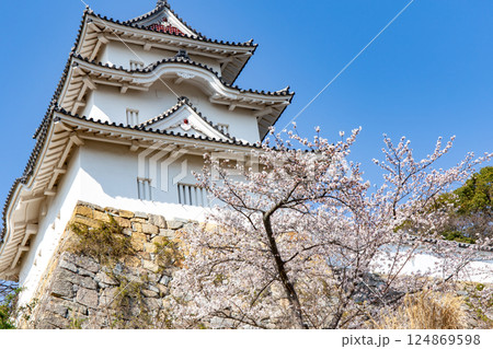 兵庫県明石市・桜が満開の明石城の櫓 124869598