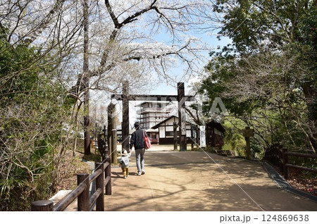 川崎市 生田緑地枡形山の枡形門と満開桜と新緑 川崎市 生田緑地枡形山の枡形門と満開桜と新緑 124869638