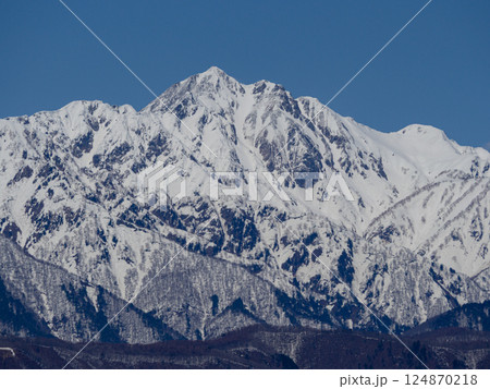 春の北アルプス　鷹狩山から見る大町市街地 124870218