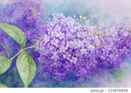 ブッドレア　※夏の花の背景素材 124870649