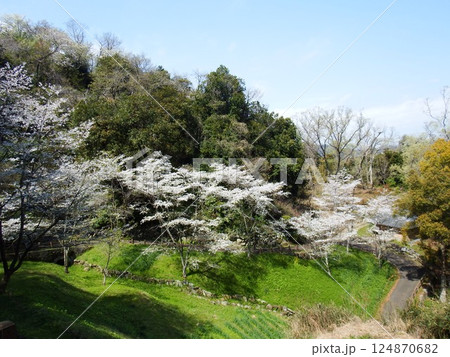 衣笠山公園 衣笠山公園 124870682