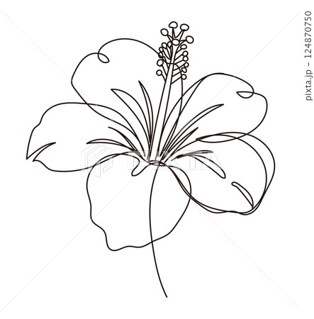 ハイビスカスのお洒落なワンストロークの線画イラスト 124870750