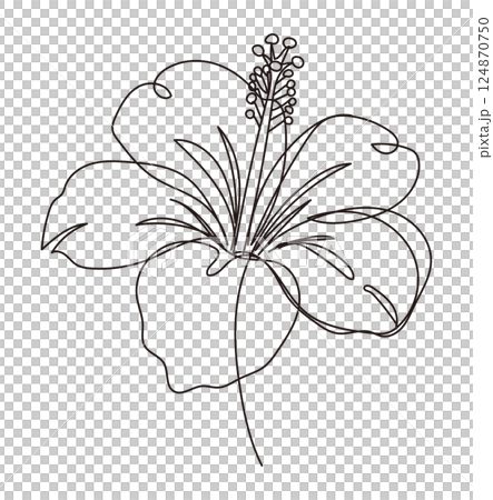 ハイビスカスのお洒落なワンストロークの線画イラスト 124870750