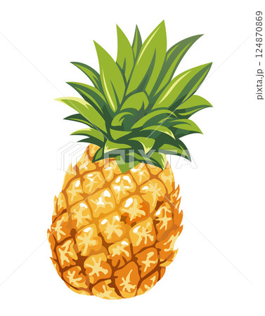 パイナップルのベクターイラスト パイナップルのベクターイラスト 124870869