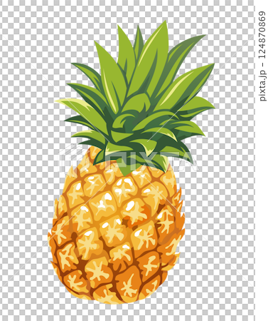 Vector illustration of pineapple 124870869