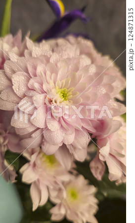 Beautiful big bouquet of different flowers. Mother's day, birthday. 124871315