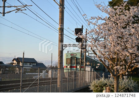 桜と提灯と電車 124871748