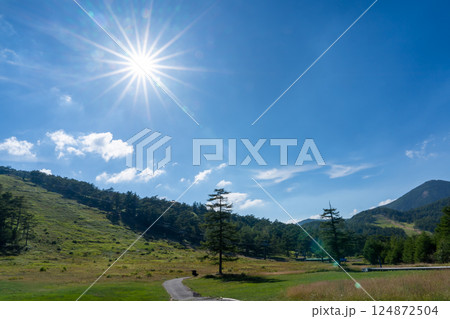 夏の爽やかな高原の風景 夏の爽やかな高原の風景 124872504